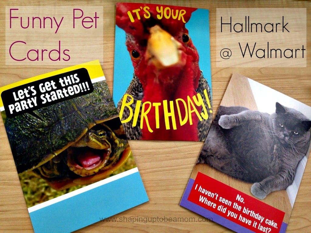 funny-pet-cards-from-hallmark-shaping-up-to-be-a-mom