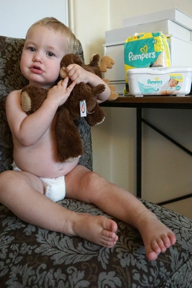 Pampers-Swaddlers