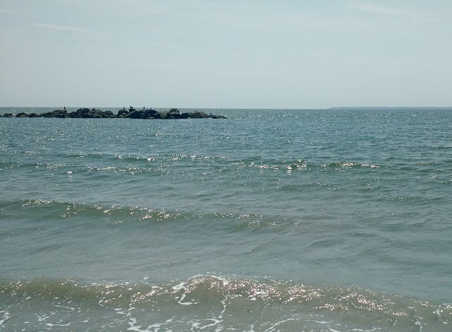 coney-island-shore