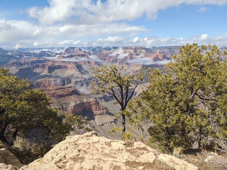 View at Grand Canyon National Park