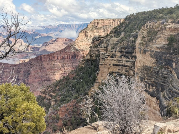 gorgeous grand canyon view